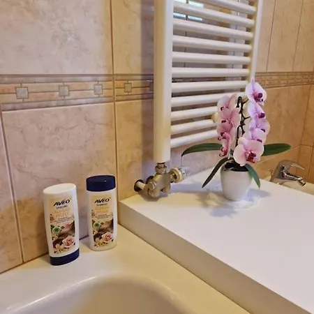 Appartement Apartma Aurora