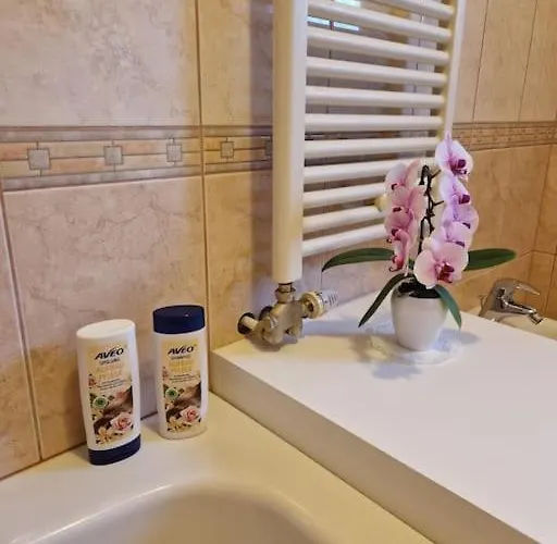 公寓 Apartma Aurora